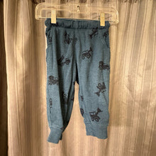 Load image into Gallery viewer, Carter's SIZE 12 Months Pants Boy's

