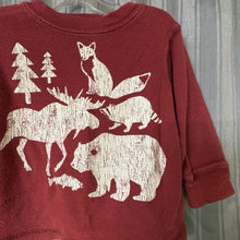 Load image into Gallery viewer, Carter's SIZE 6 Months Shirt Boy's

