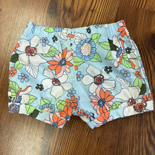 Load image into Gallery viewer, Carter's SIZE 9 Months Shorts
