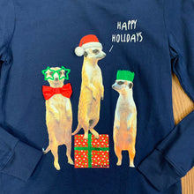Load image into Gallery viewer, Lands&#39; End SIZE 8 Shirt
